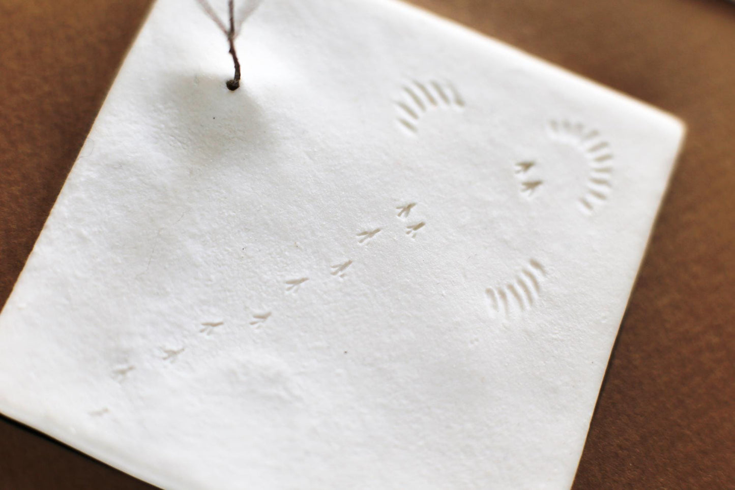 A Fleeting Presence / Porcelain Wall Art