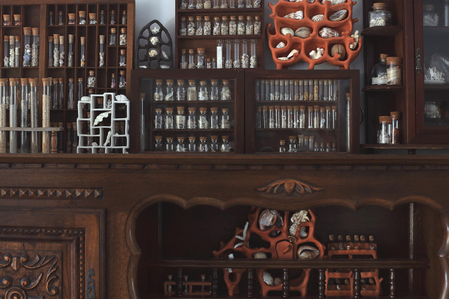 Air Chambers / Ceramic Curiosity Cabinet