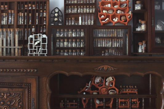Air Chambers / Ceramic Curiosity Cabinet