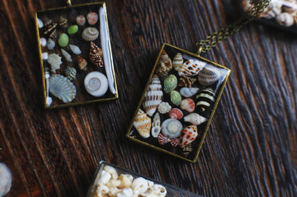 Beachcombing Collection / Mini Seashells Pendant