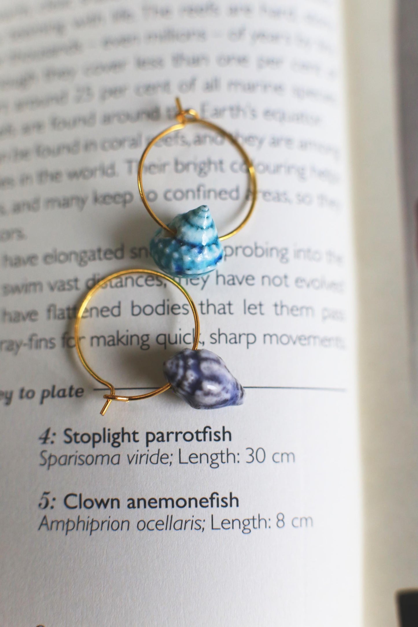 Shell Hoops / Porcelain Earrings