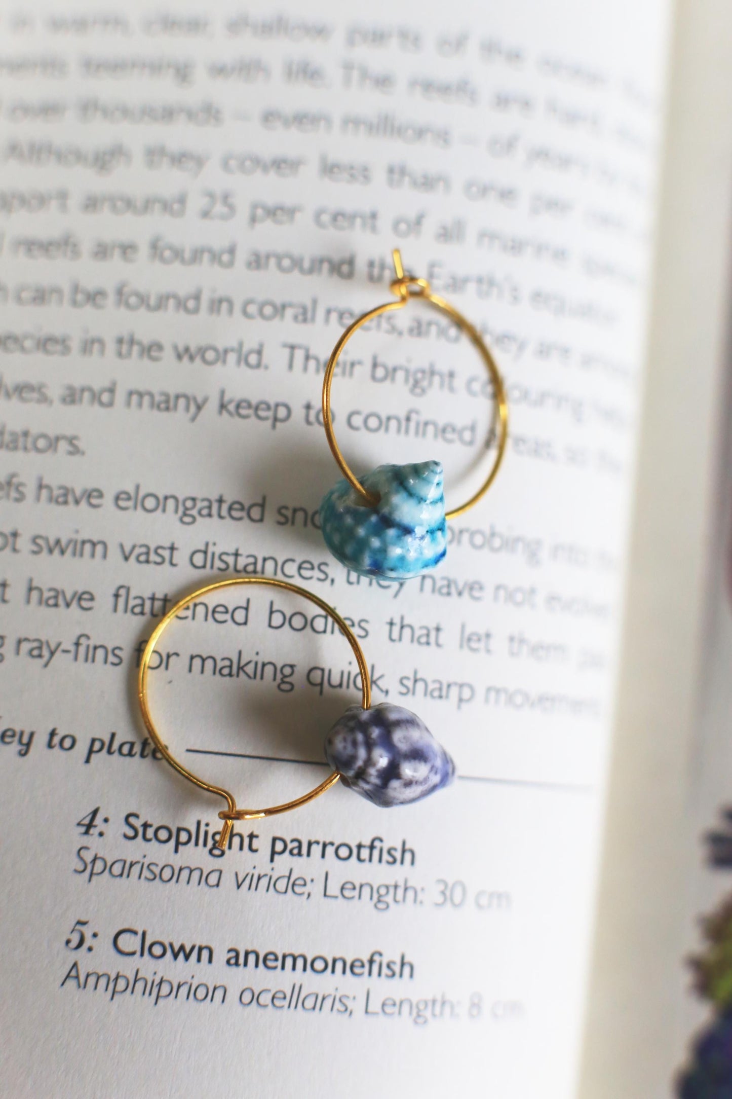 Shell Hoops / Porcelain Earrings