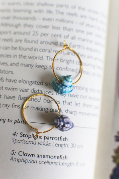 Shell Hoops / Porcelain Earrings