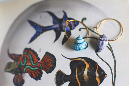 Shell Hoops / Porcelain Earrings